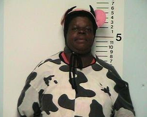 cow-suit-arrest