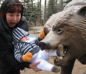 zoo_bear_attack_0213