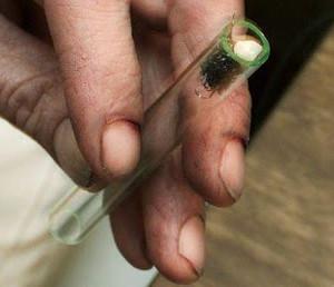 pregnant_women_smoking_crack