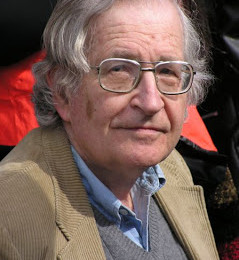 noam_chomsky_on_post-midterm_politics