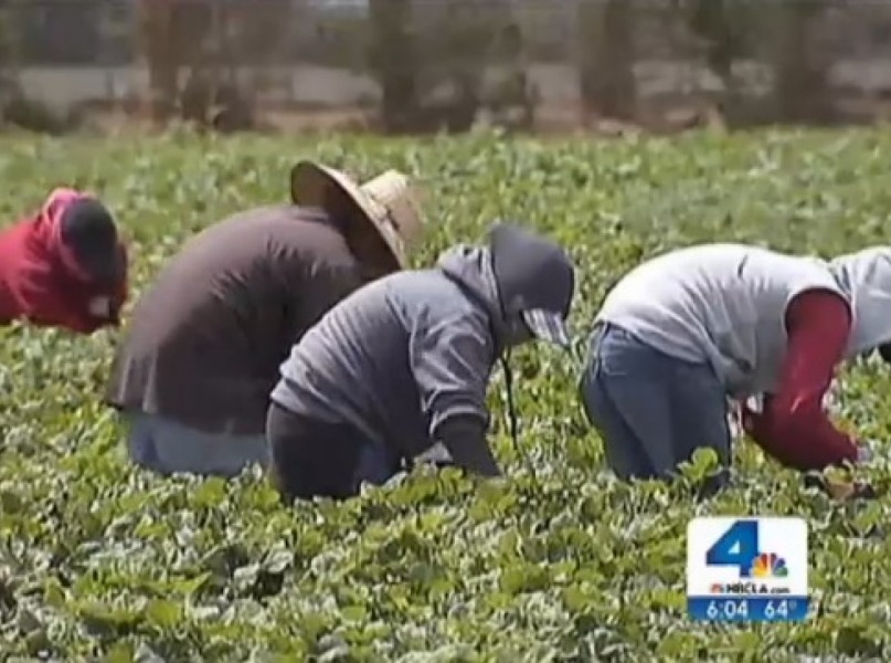 farm-workers-fired-for-leaving-fields-during-california-wildfire1