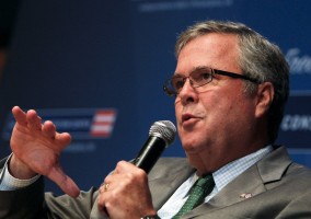 Jeb Bush