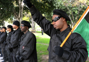 new-black-panther-party_940x