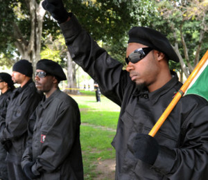 new-black-panther-party_940x